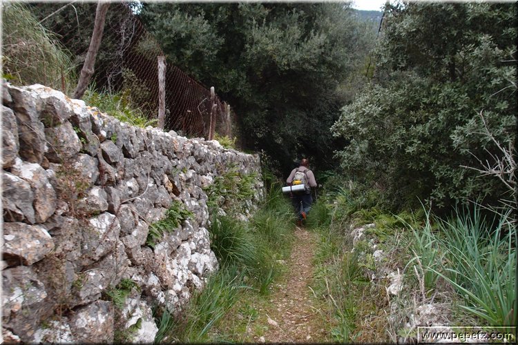 P2273034.JPG