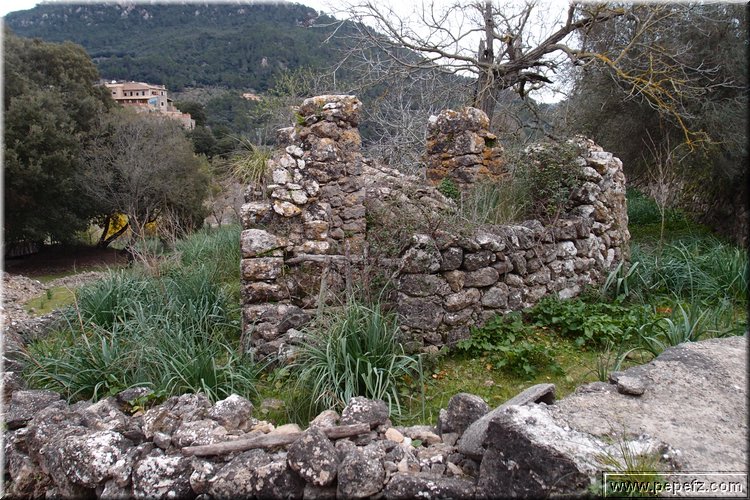 P2273045.JPG