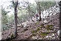 P2272931.JPG
