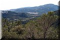 P2272942.JPG