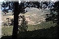 P2272958.JPG