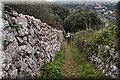 P2273032.JPG