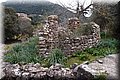 P2273045.JPG