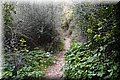 P2273046.JPG