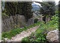 P2273050.JPG