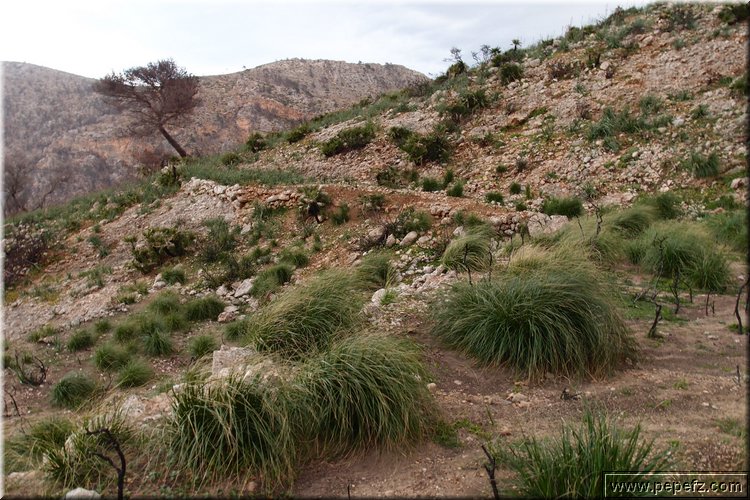 P3033156.JPG
