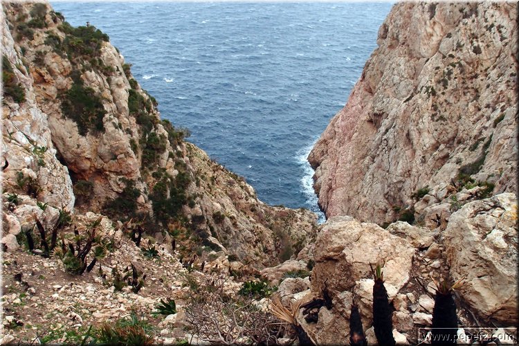 P3033241.JPG