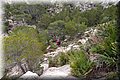 P3033219.JPG