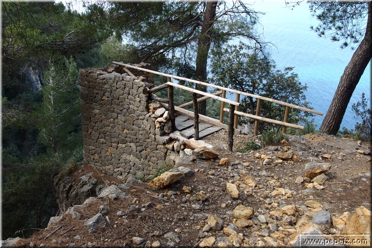 P3090204.JPG