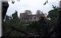 P3090162.JPG