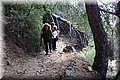 P3090243.JPG