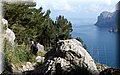 P3100341.JPG