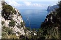 P3100356.JPG