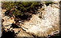 P3100388.JPG