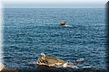 P3100407.JPG