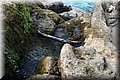 P3100463.JPG