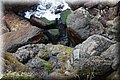 P3100468.JPG