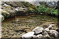 P3100470.JPG