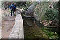 P3100500.JPG