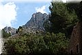 P3100511.JPG
