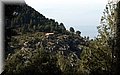 P3100533.JPG