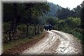 P3130550.JPG