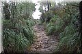 P3130564.JPG
