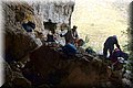 P3130604.JPG