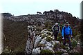 P3130631.JPG