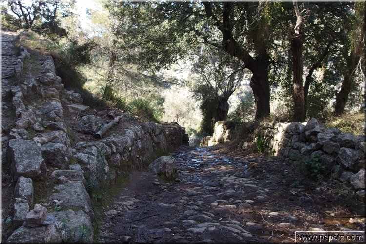 P3170185.JPG