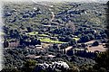 P3170050.JPG