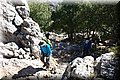 P3170081.JPG