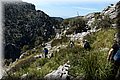 P3170148.JPG