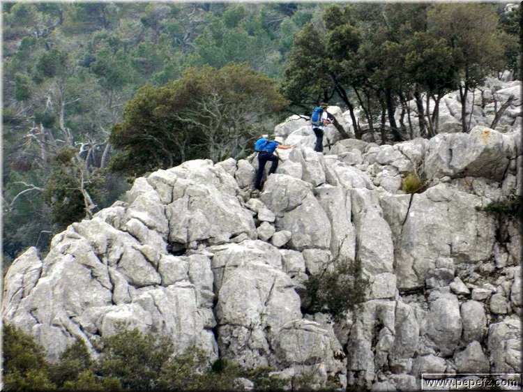 DSCN1654.jpg