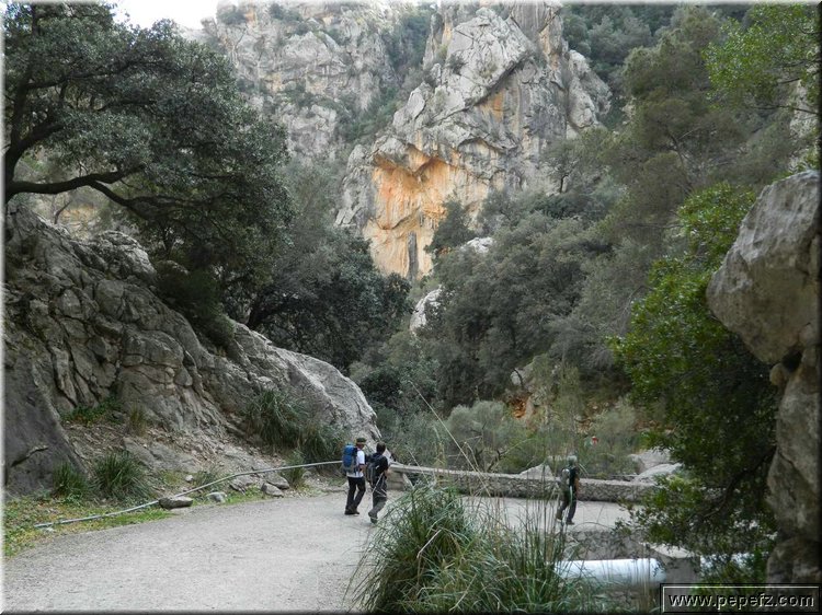 DSCN1683.jpg