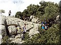 DSC05616.jpg