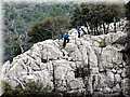 DSCN1654.jpg