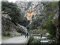 DSCN1683.jpg