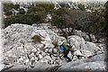 P3200300.JPG