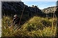 P3240510.JPG