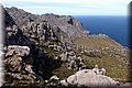 P3240561.JPG
