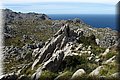 P3240587.JPG