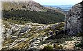 P3240620.JPG
