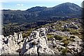 P3240670.JPG
