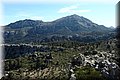 P3240685.JPG