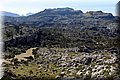 P3240692.JPG
