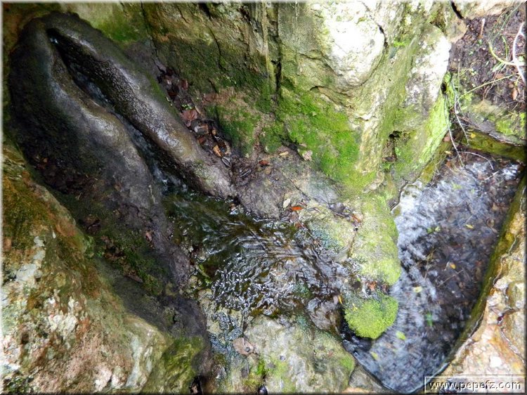 DSCN1727.jpg