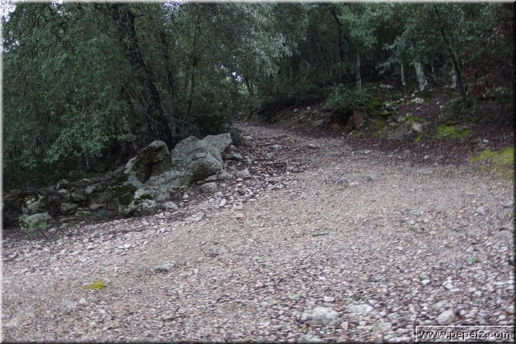 P3270870.JPG