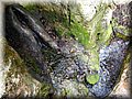 DSCN1727.jpg