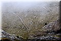 P3270767.JPG
